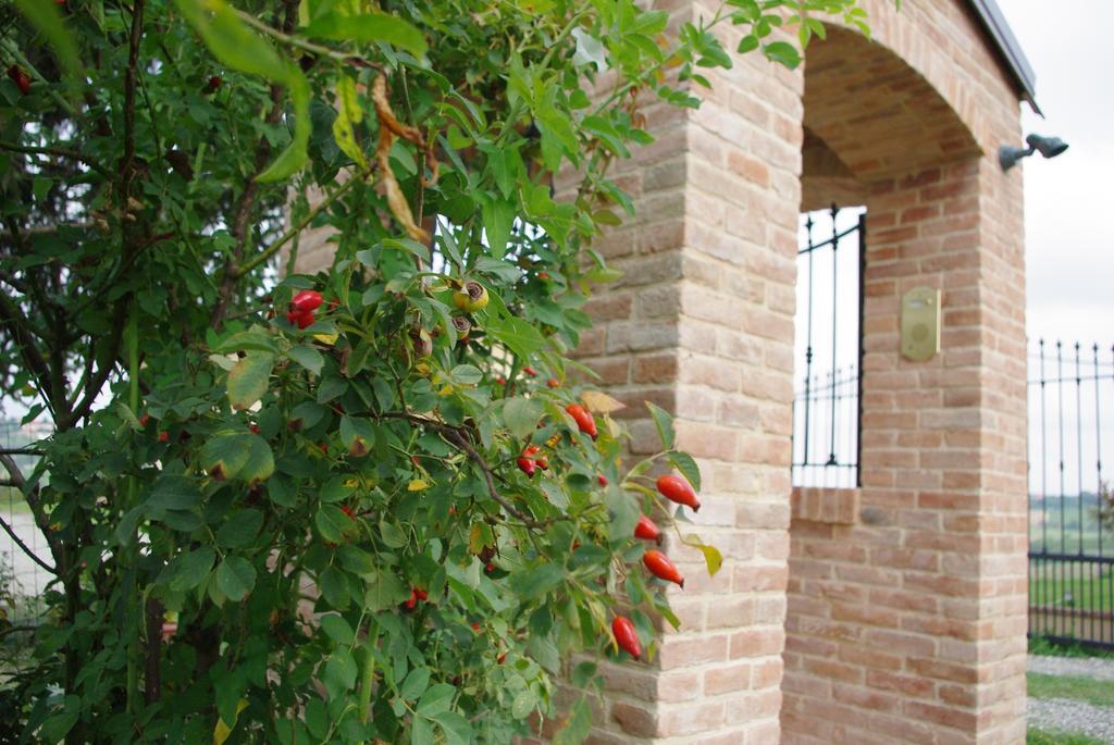 Naturalmente Wine Resort Agliano Terme Luaran gambar