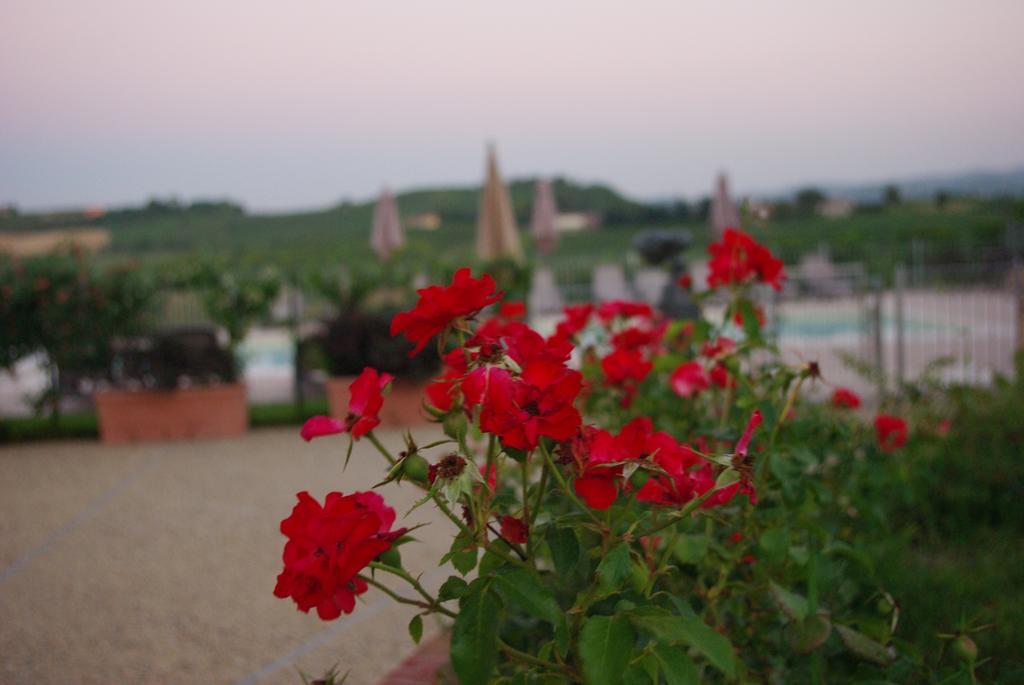 Naturalmente Wine Resort Agliano Terme Luaran gambar
