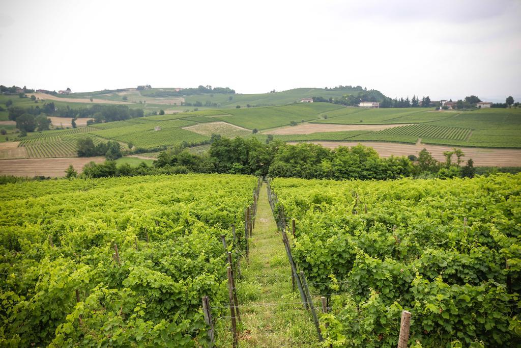Naturalmente Wine Resort Agliano Terme Luaran gambar
