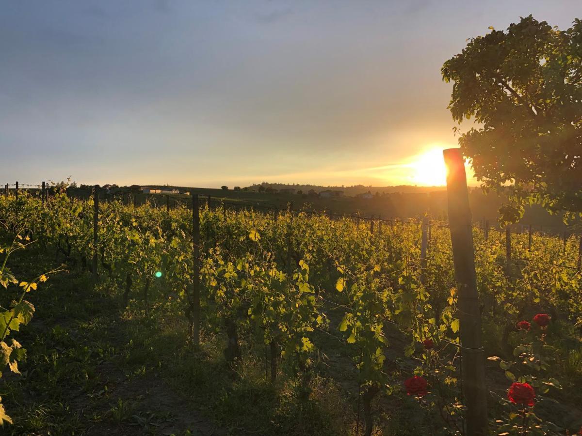 Naturalmente Wine Resort Agliano Terme Luaran gambar